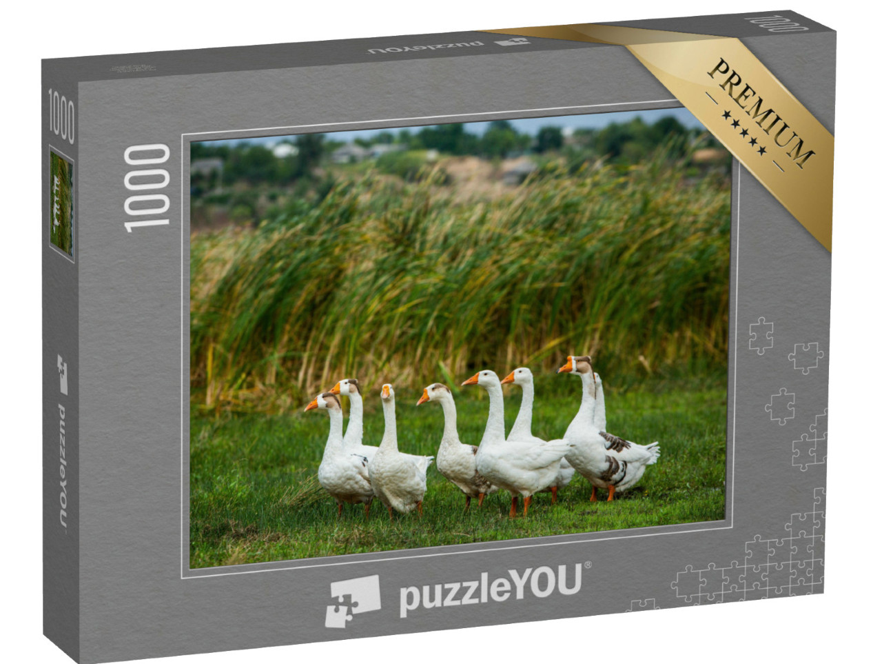 Puzzle de 1000 pièces « Oies blanches en promenade »