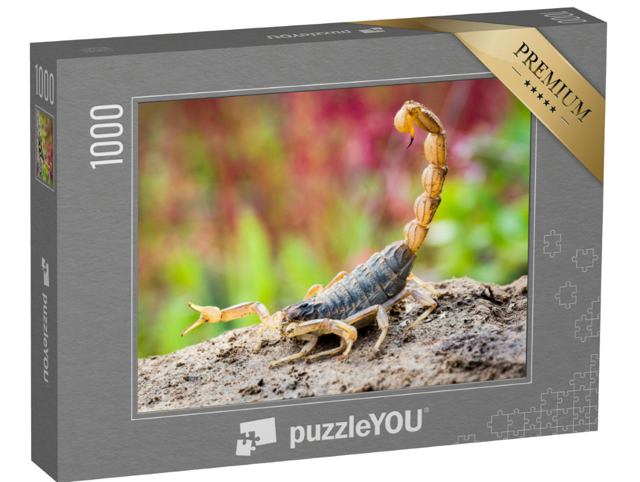 Puzzle de 1000 pièces « Scorpion en position d'attaque »