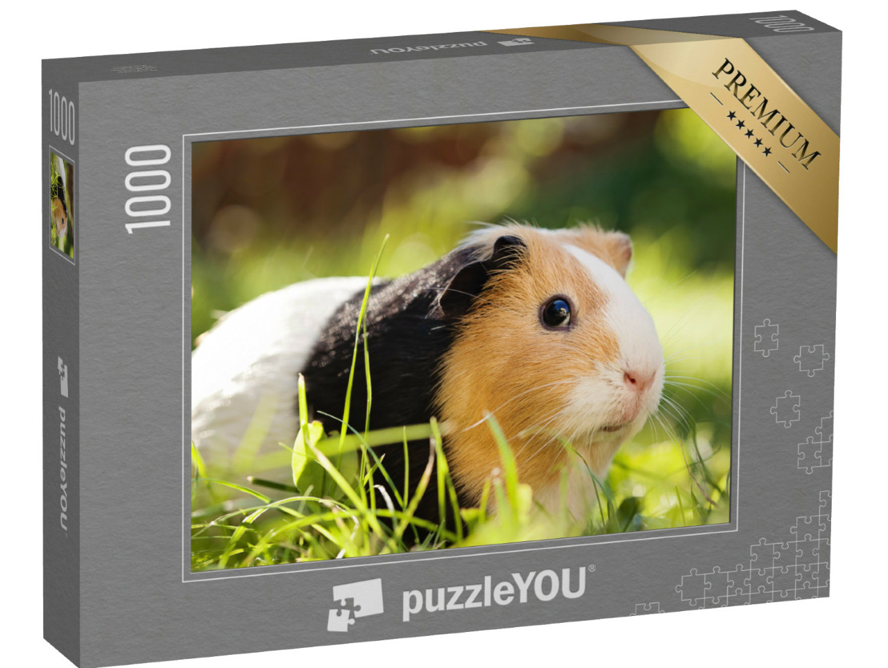Puzzle de 1000 pièces « Un adorable cochon d'Inde tricolore »