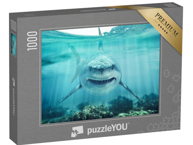 Puzzle de 1000 pièces « Face à face avec un grand requin blanc »