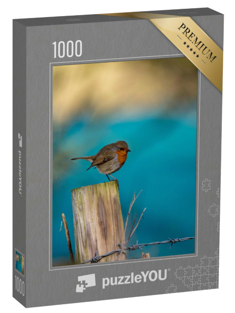 Puzzle de 1000 pièces « Rouge-gorge sur un piquet de clôture »