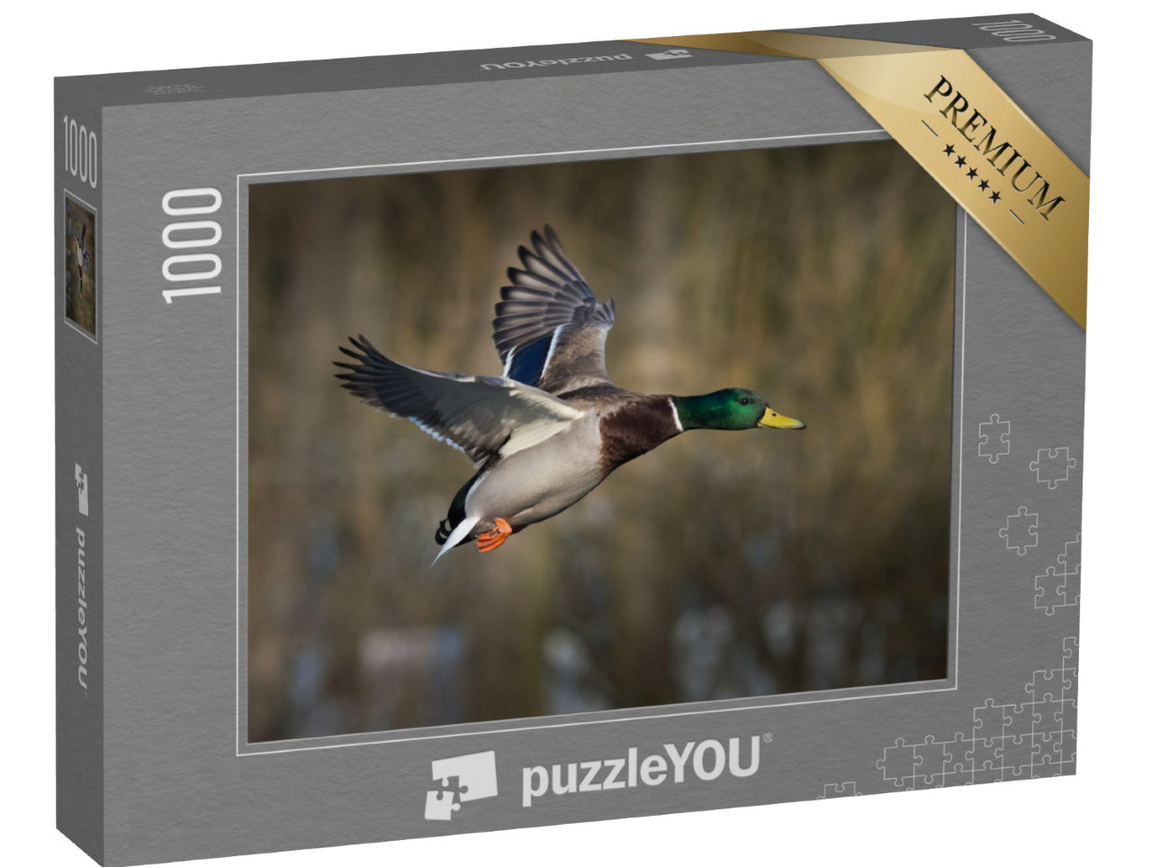 Puzzle de 1000 pièces « Canard colvert en vol »