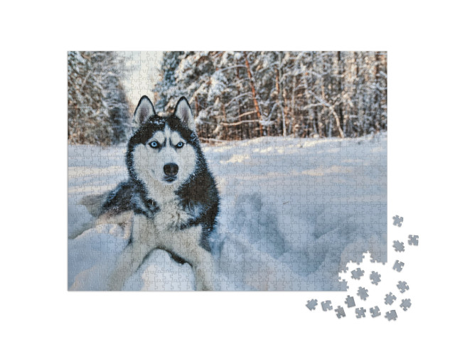 Puzzle de 1000 pièces « Husky dans la neige »