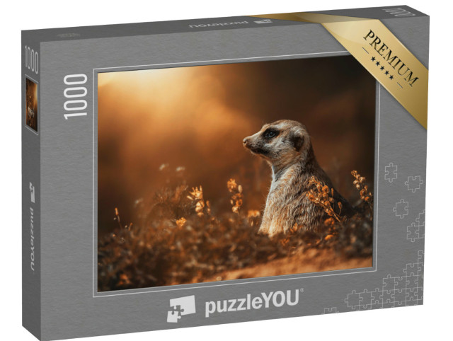 Puzzle de 1000 pièces « Suricate »