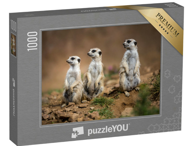 Puzzle de 1000 pièces « Suricates vigilants »