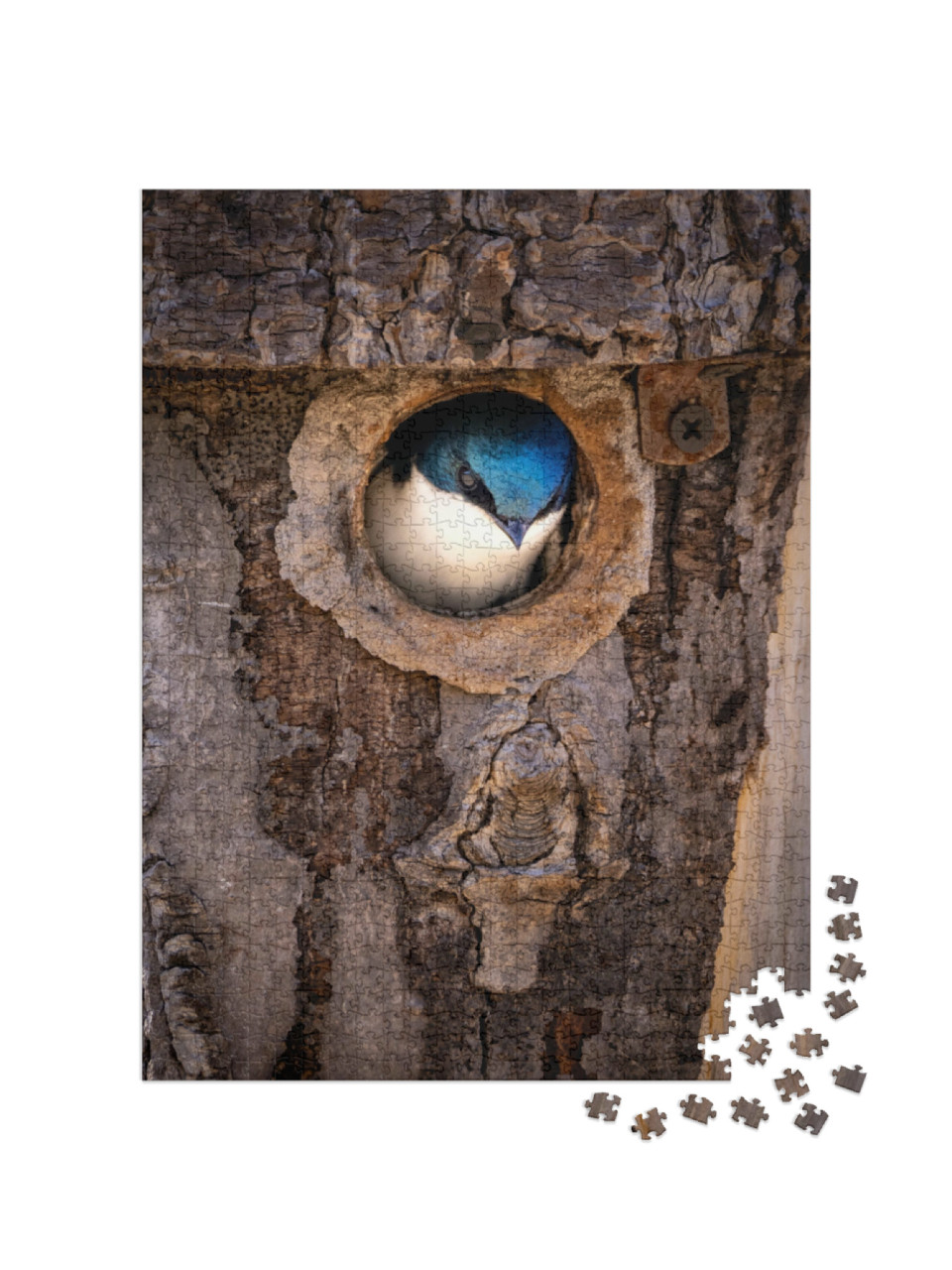 Puzzle de 1000 pièces « Une hirondelle rustique s'aventure hors de son nid dans un tronc d'arbre »