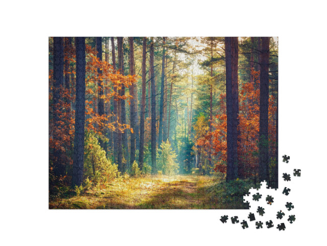 Puzzle de 1000 pièces « Forêt d'automne ensoleillée »