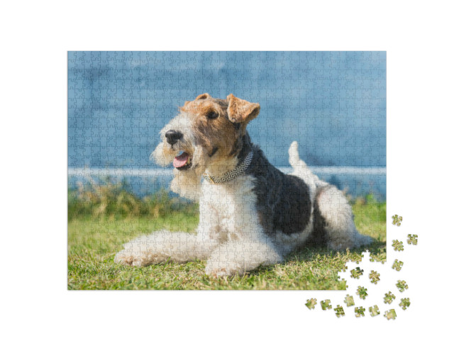 Puzzle de 1000 pièces « Joyeux fox-terrier »