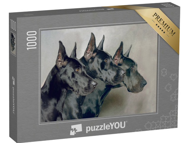 Puzzle de 1000 pièces « Trois générations de dogues allemands »