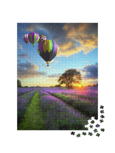 Puzzle de 1000 pièces « Montgolfières au-dessus d'un champ de lavande dans la lumière du soir »