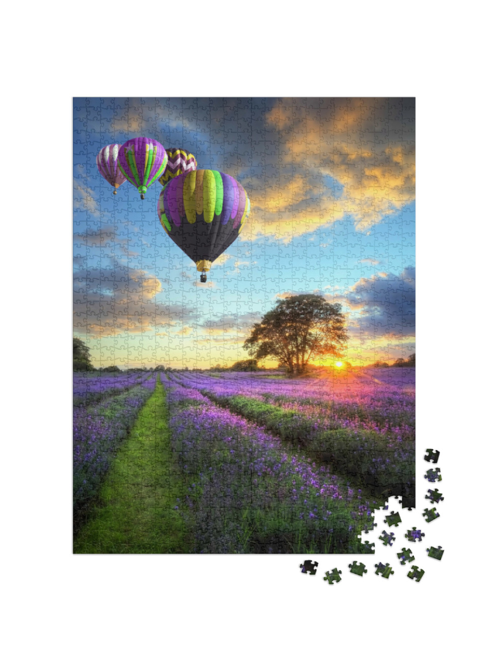 Puzzle de 1000 pièces « Montgolfières au-dessus d'un champ de lavande dans la lumière du soir »