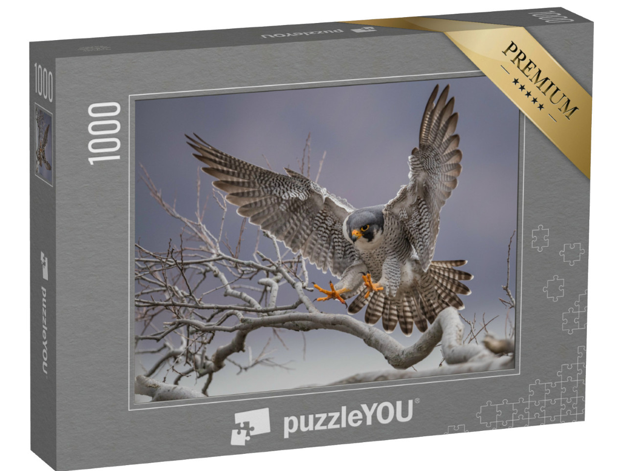 Puzzle de 1000 pièces « Faucon pèlerin en approche sur une branche d'arbre »