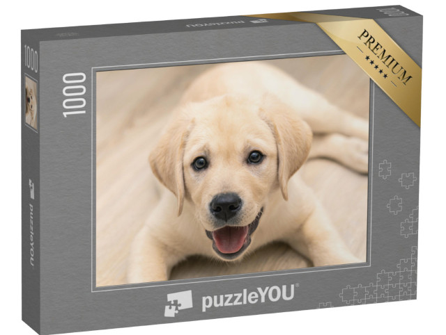 Puzzle de 1000 pièces « Adorable chiot labrador doré en gros plan »