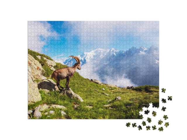 Puzzle de 1000 pièces « Beau paysage de montagne avec une chèvre de montagne dans les Alpes françaises, près du massif du Lac Blanc »