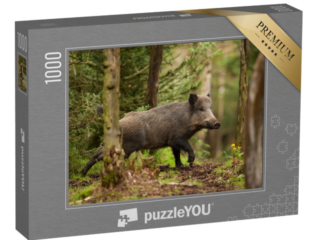 Puzzle de 1000 pièces « Le sanglier dans les forêts de la République tchèque »