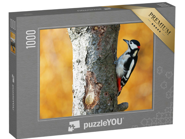 Puzzle de 1000 pièces « Pic épeiche dans la forêt automnale »