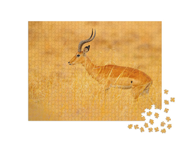 Puzzle de 1000 pièces « Antilope au milieu de la savane herbeuse, Afrique du Sud »