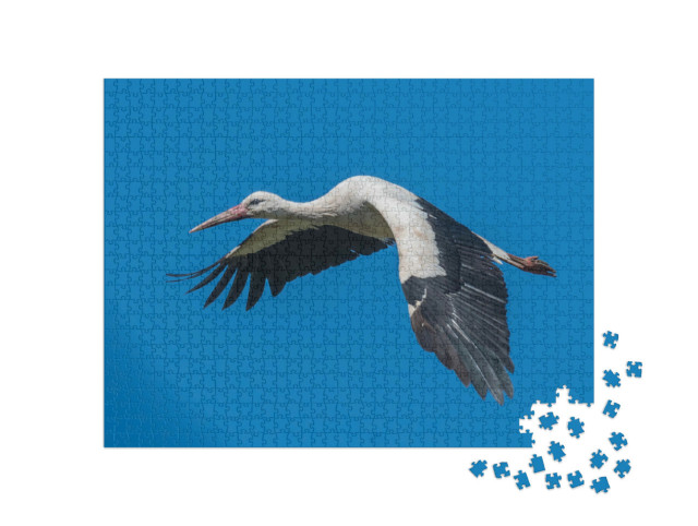 Puzzle de 1000 pièces « Cigogne blanche en vol dans le ciel bleu »