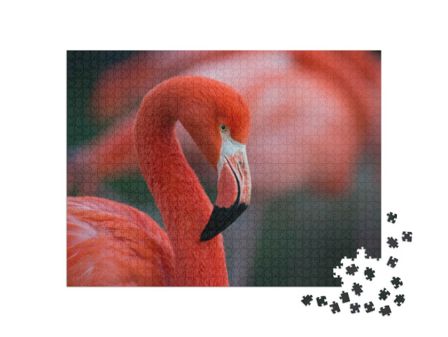 Puzzle de 1000 pièces « Flamant rose »