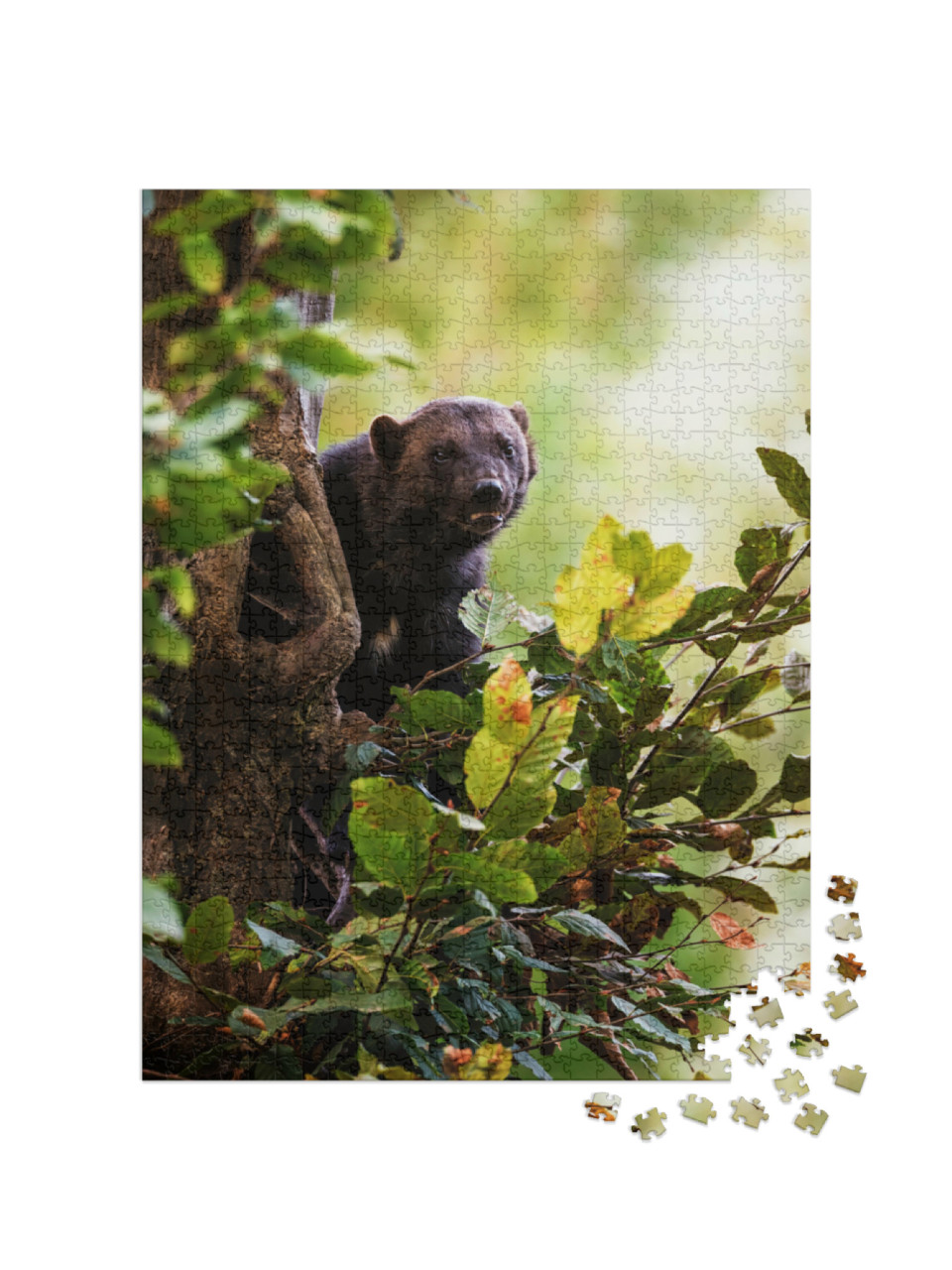 Puzzle de 1000 pièces « Un glouton grimpe à un arbre »