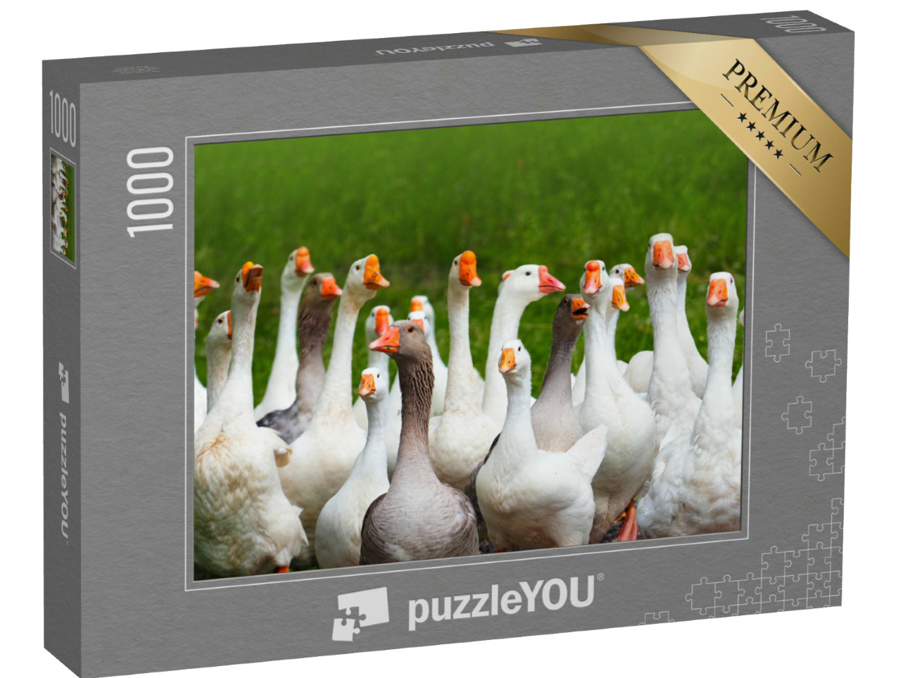 Puzzle de 1000 pièces « Troupeau d'oies qui jacassent »