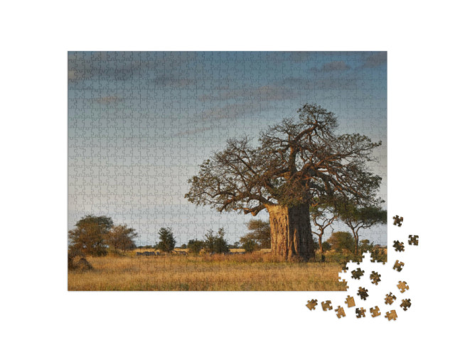 Puzzle de 1000 pièces « Paysage africain avec un grand baobab »