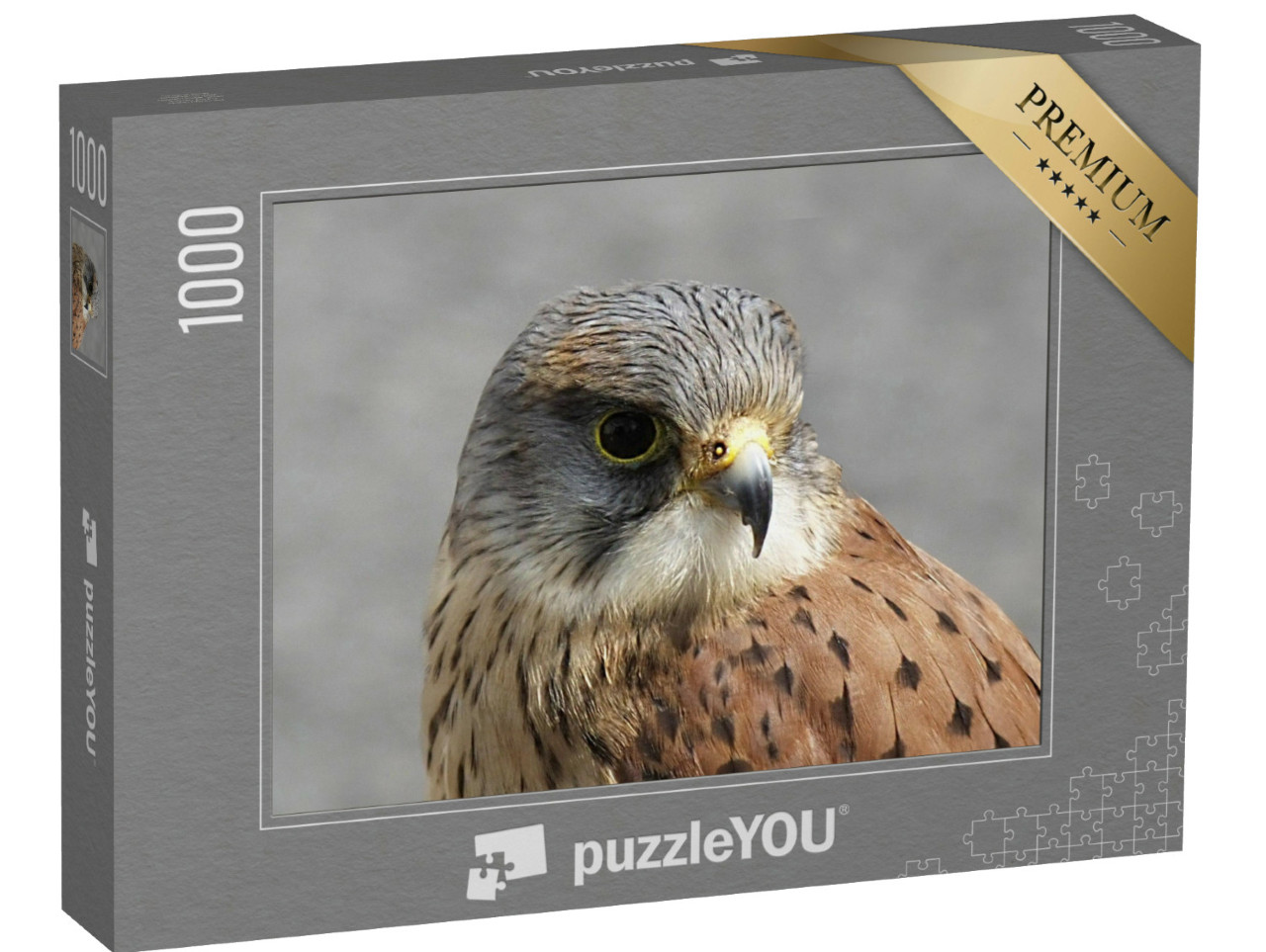 Puzzle de 1000 pièces « Faucon crécerellette au parc animalier de Co Antrim, Irlande du Nord »