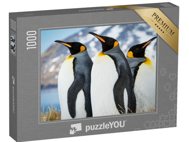 Puzzle de 1000 pièces « Manchots empereurs en Géorgie du Sud »