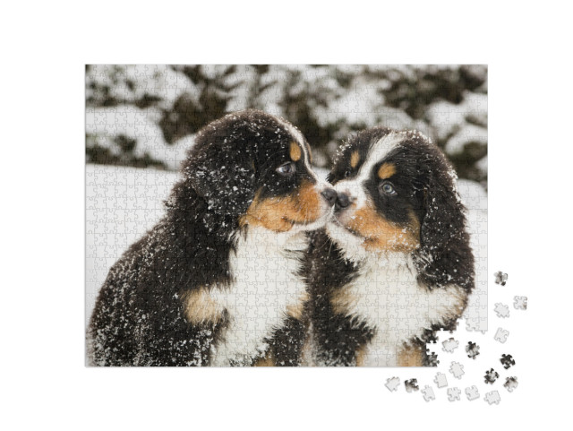 Puzzle de 1000 pièces « Des chiots bouvier bernois saupoudrés de neige »