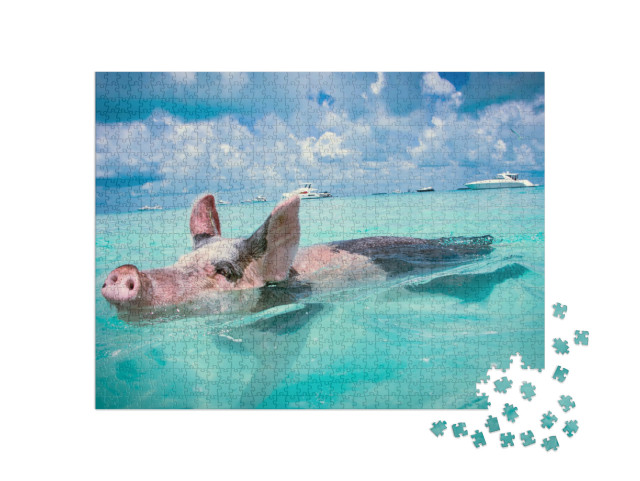 Puzzle de 1000 pièces « Les cochons flottants des Bahamas »