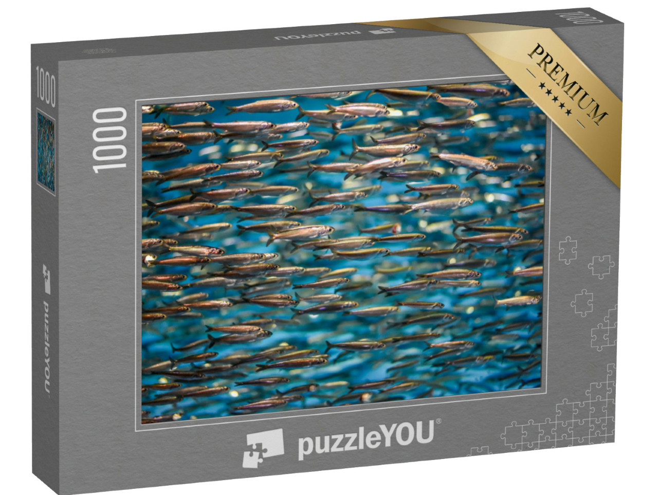 Puzzle de 1000 pièces « Un banc d'anchois »