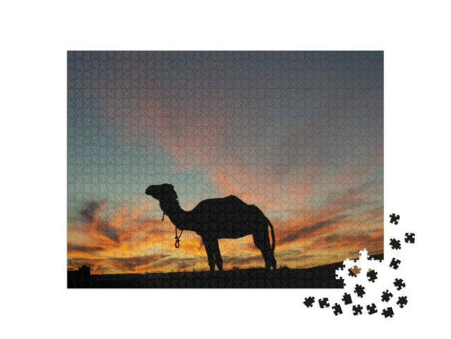 Puzzle de 1000 pièces « Silhouette de dromadaire par une belle soirée dans le désert »