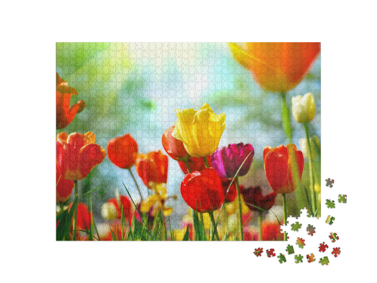 Puzzle de 1000 pièces « Prairie de tulipes sous le soleil de printemps »