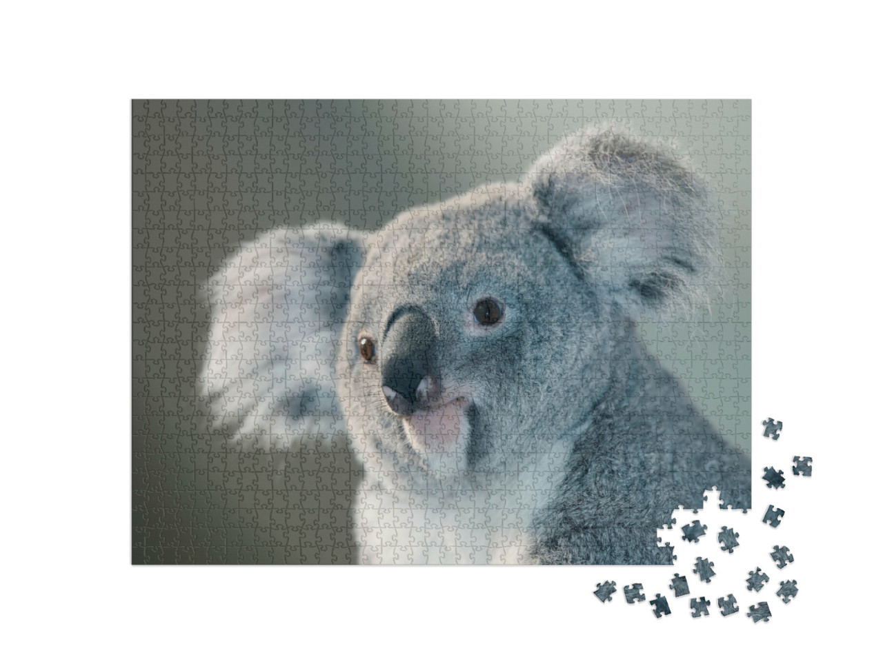 Puzzle de 1000 pièces « Portrait d'un koala »