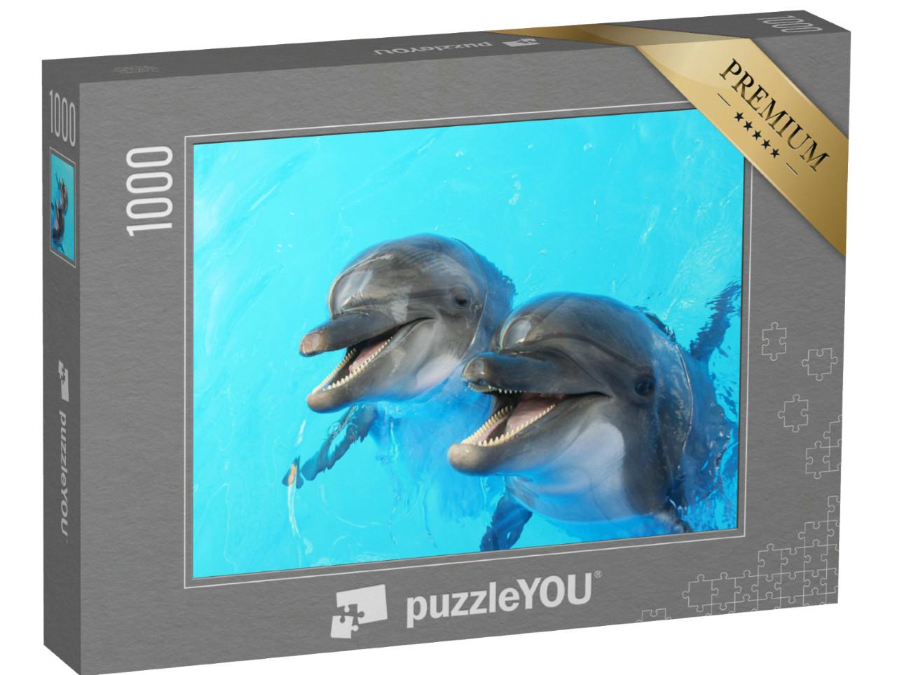 Puzzle de 1000 pièces « Deux dauphins nagent dans la piscine »