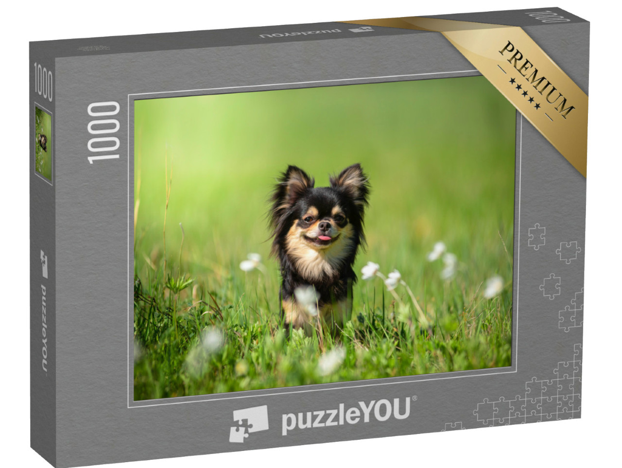Puzzle de 1000 pièces « Chien chihuahua dans une clairière ensoleillée »