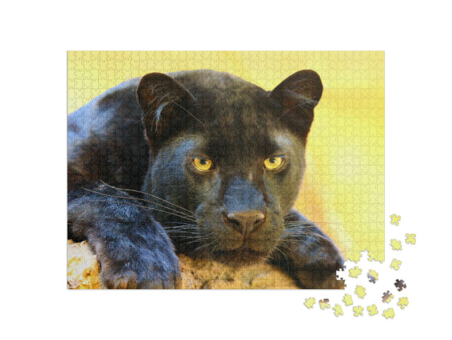 Puzzle de 1000 pièces « Le léopard, également appelé panthère noire »