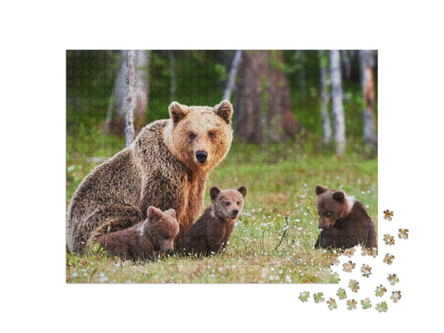 Puzzle de 1000 pièces « Une mère ours brun protège ses petits dans une forêt finlandaise »