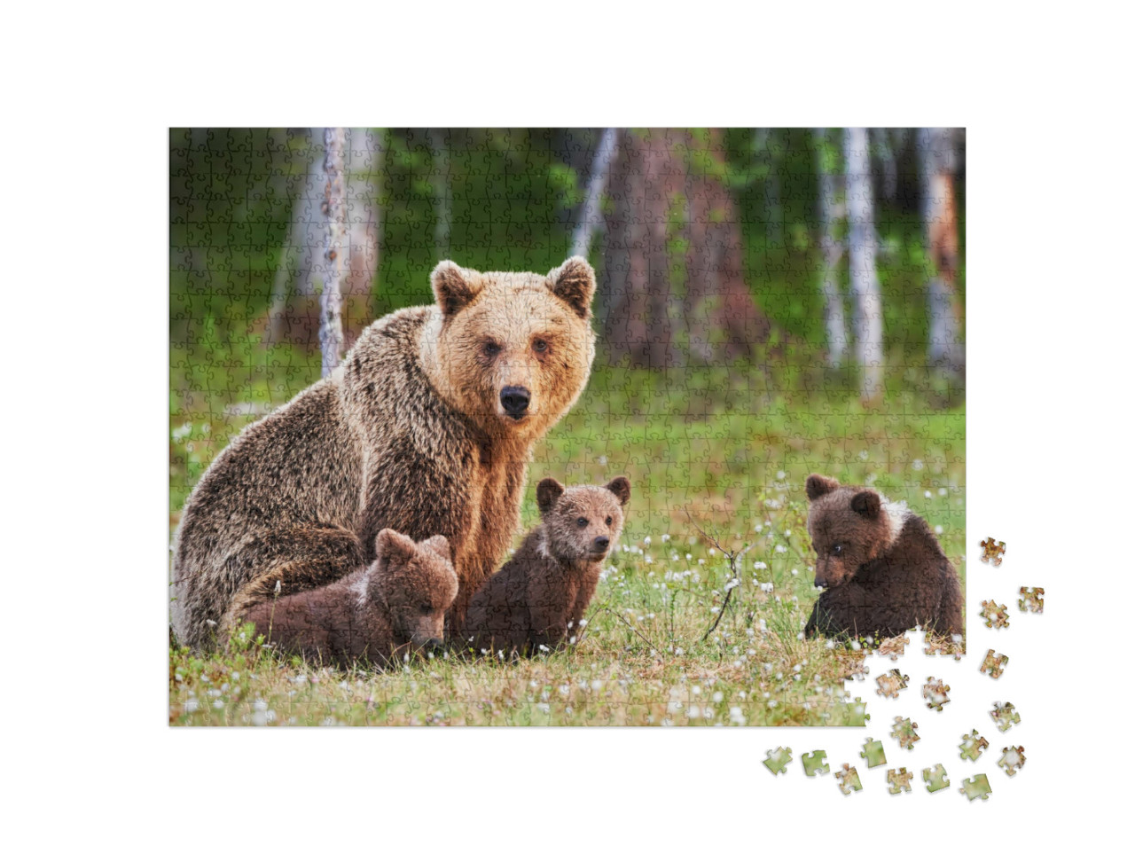 Puzzle de 1000 pièces « Une mère ours brun protège ses petits dans une forêt finlandaise »