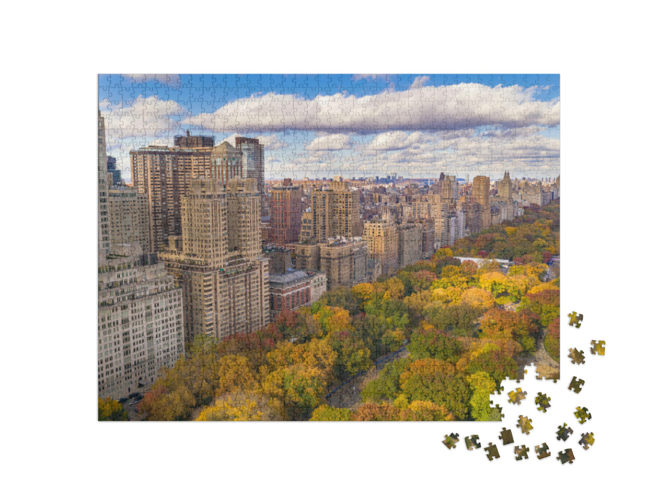 Puzzle de 1000 pièces « La mitaine de Central Park à Manhattan, New York »