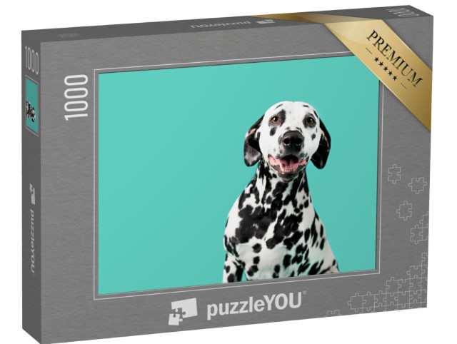 Puzzle de 1000 pièces « Dalmatien »
