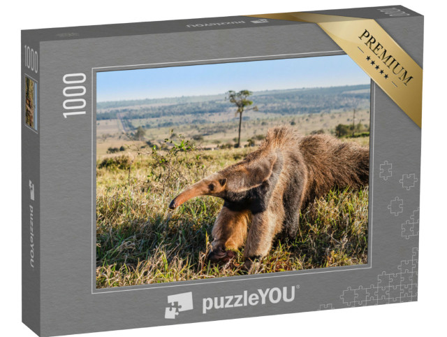 Puzzle de 1000 pièces « Un fourmilier géant sauvage dans les pâturages »