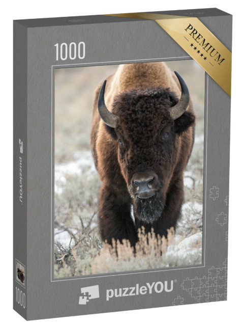 Puzzle de 1000 pièces « Un bison, buffle »