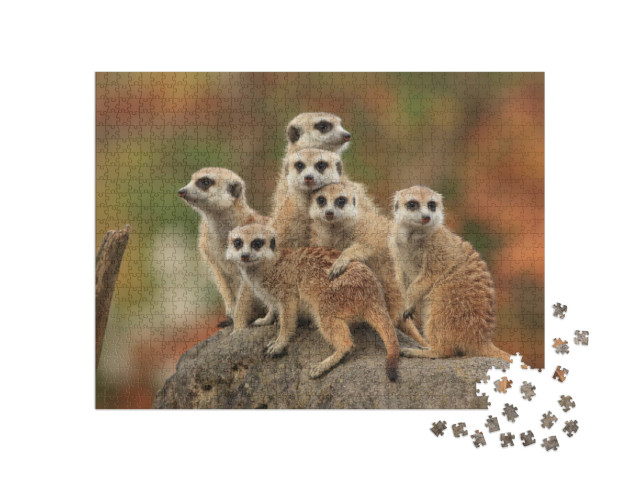 Puzzle de 1000 pièces « Groupe de suricates »