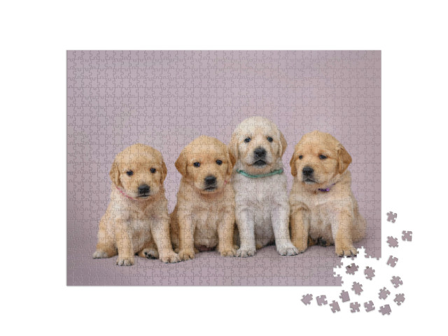 Puzzle de 1000 pièces « Quatre petits chiots Golden Retrieve »