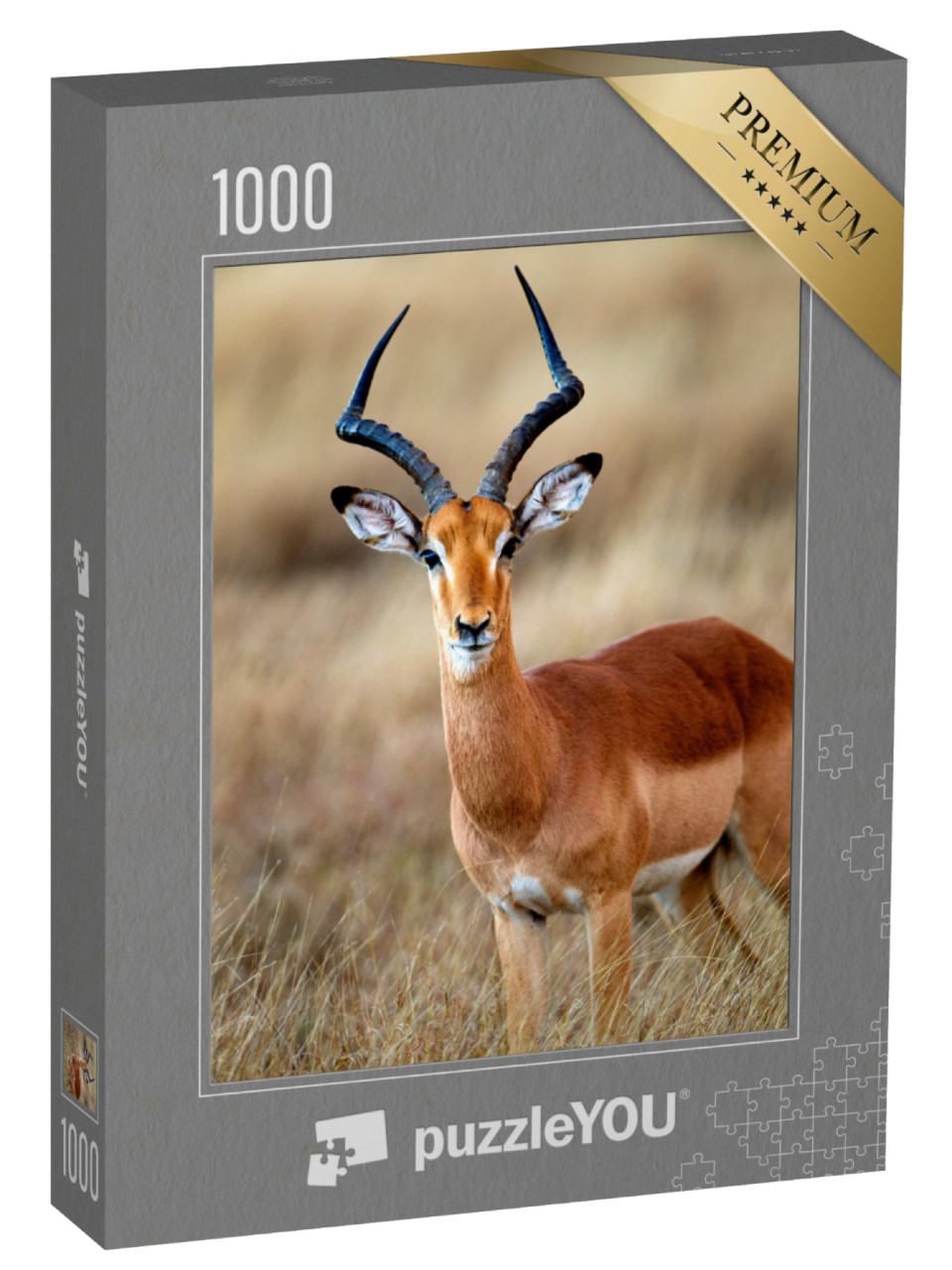 Puzzle de 1000 pièces « Un impala mâle dans le parc national Kruger en Afrique du Sud »