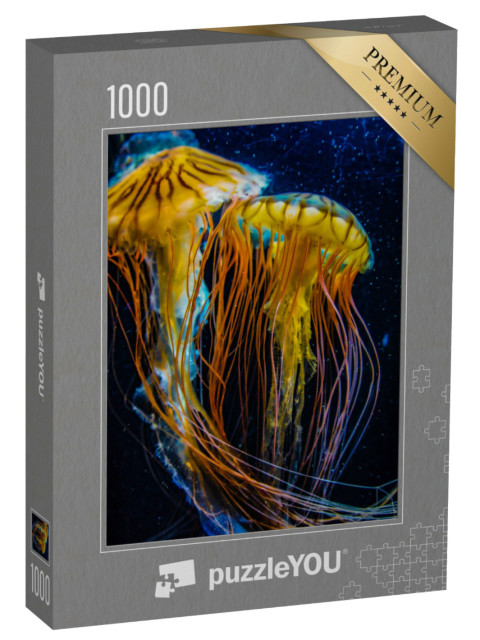 Puzzle de 1000 pièces « Des méduses magnifiques mais venimeuses »