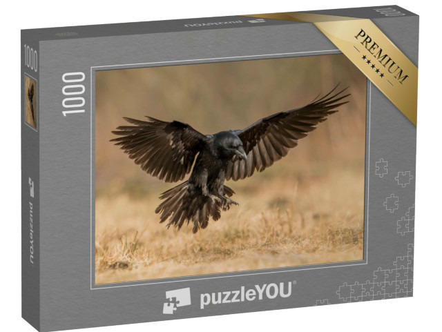 Puzzle de 1000 pièces « Grand corbeau en phase d'atterrissage »
