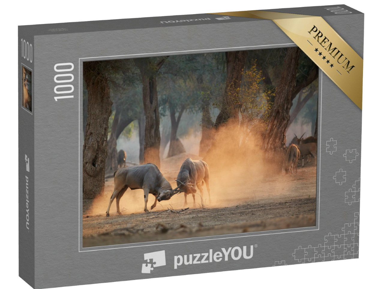 Puzzle de 1000 pièces « Antilope Eland, Taurotragus Oryx, Zimbabwe »