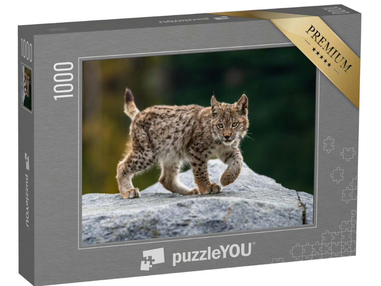 Puzzle de 1000 pièces « Jeune lynx attentif »